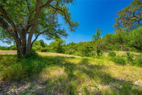 564 Bluff Springs Drive Driftwood TX 78619