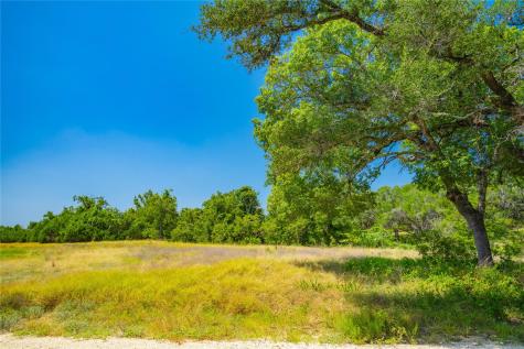 564 Bluff Springs Drive Driftwood TX 78619