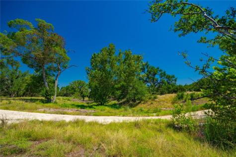 564 Bluff Springs Drive Driftwood TX 78619
