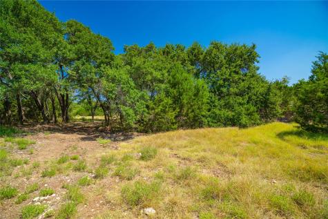 564 Bluff Springs Drive Driftwood TX 78619