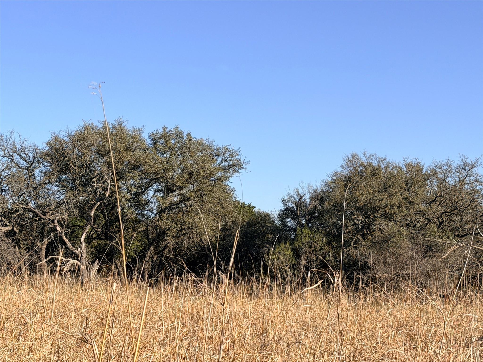 65 Cr 406 Goldthwaite TX 76844