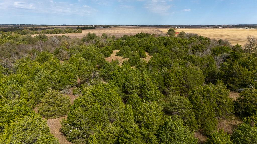 Tbd Kimbro West Road Manor TX 78653