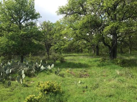 21109 N Us Highway 281 Lampasas TX 76550