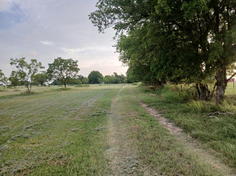 2985 County Road 426 Thrall TX 76578