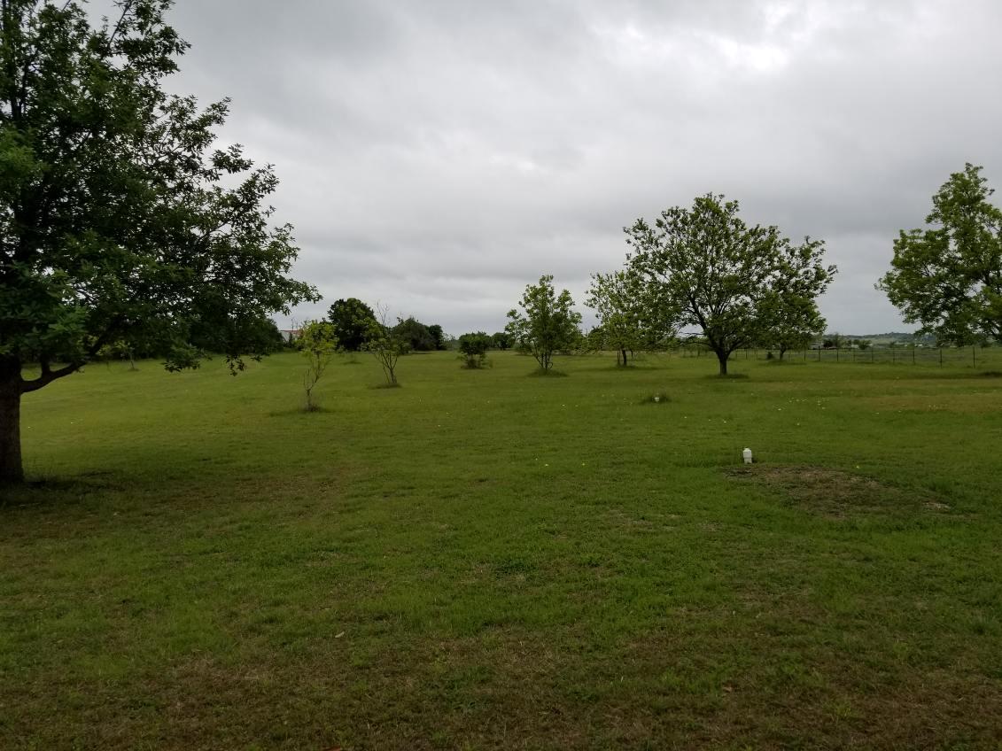 2985 County Road 426 Thrall TX 76578