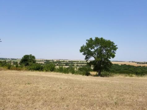 2985 County Road 426 Thrall TX 76578