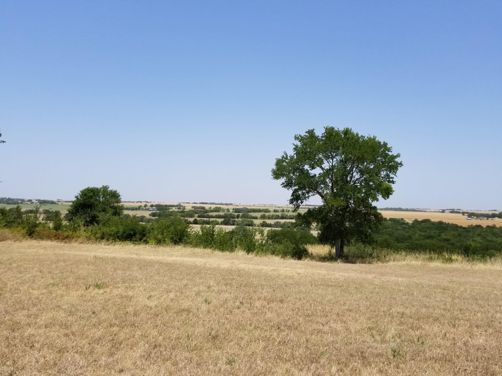 2985 County Road 426 Thrall TX 76578