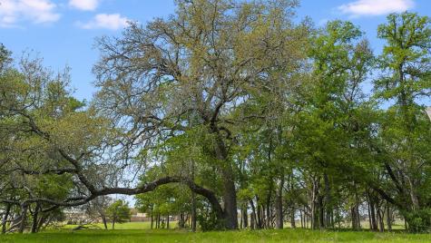 3680 County Road 245 Florence TX 76527