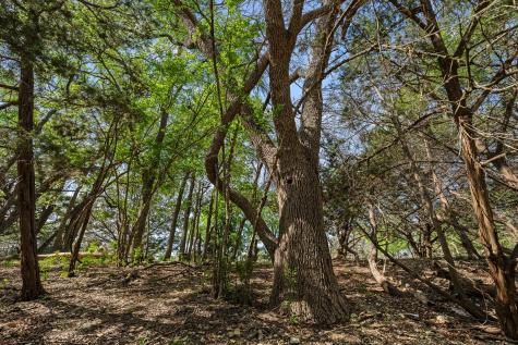 3680 County Road 245 Florence TX 76527