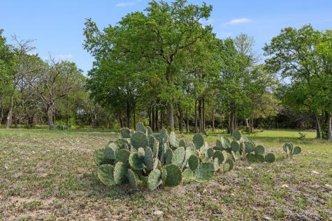 3680 County Road 245 Florence TX 76527