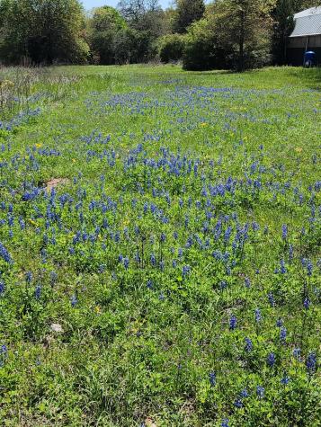 5100 Wood Duck Drive Flatonia TX 78959