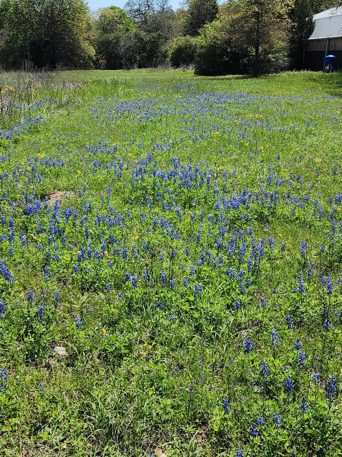 5100 Wood Duck Drive Flatonia TX 78959
