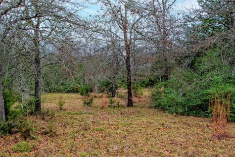 5100 Wood Duck Drive Flatonia TX 78959