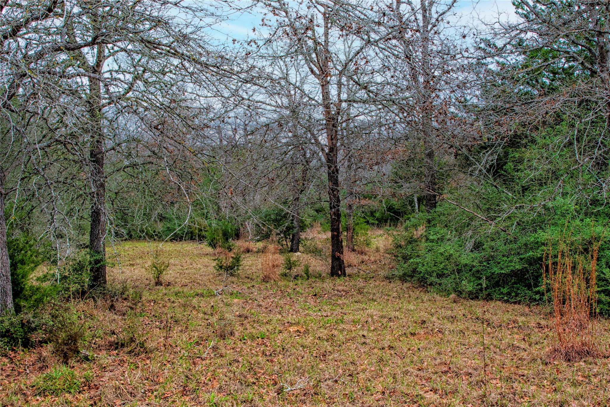 5100 Wood Duck Drive Flatonia TX 78959