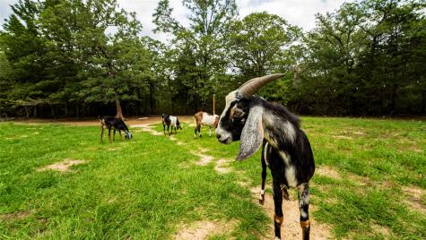 5632 County Road 317 Caldwell TX 77836