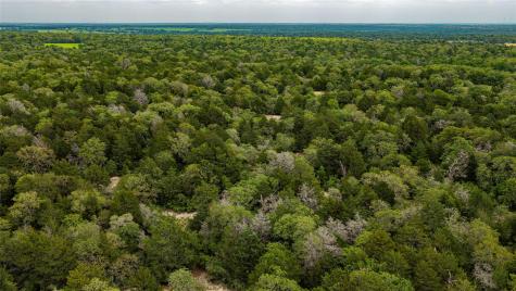 5632 County Road 317 Caldwell TX 77836