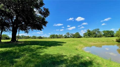 13541 E Us Hwy 79 (+/-29 Acres) Gause TX 77857