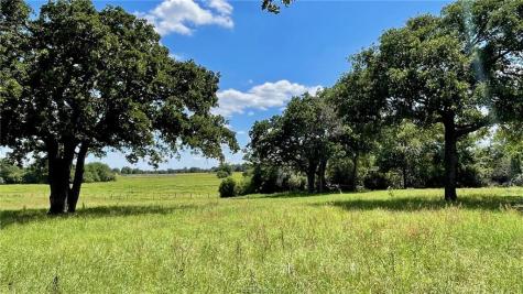 13541 E Us Hwy 79 (+/-29 Acres) Gause TX 77857