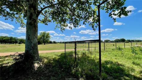 13541 E Us Hwy 79 (+/-29 Acres) Gause TX 77857