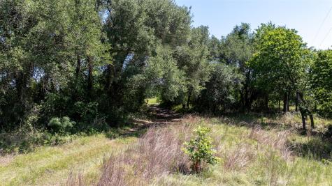 1717 County Road 402 Bartlett TX 76511