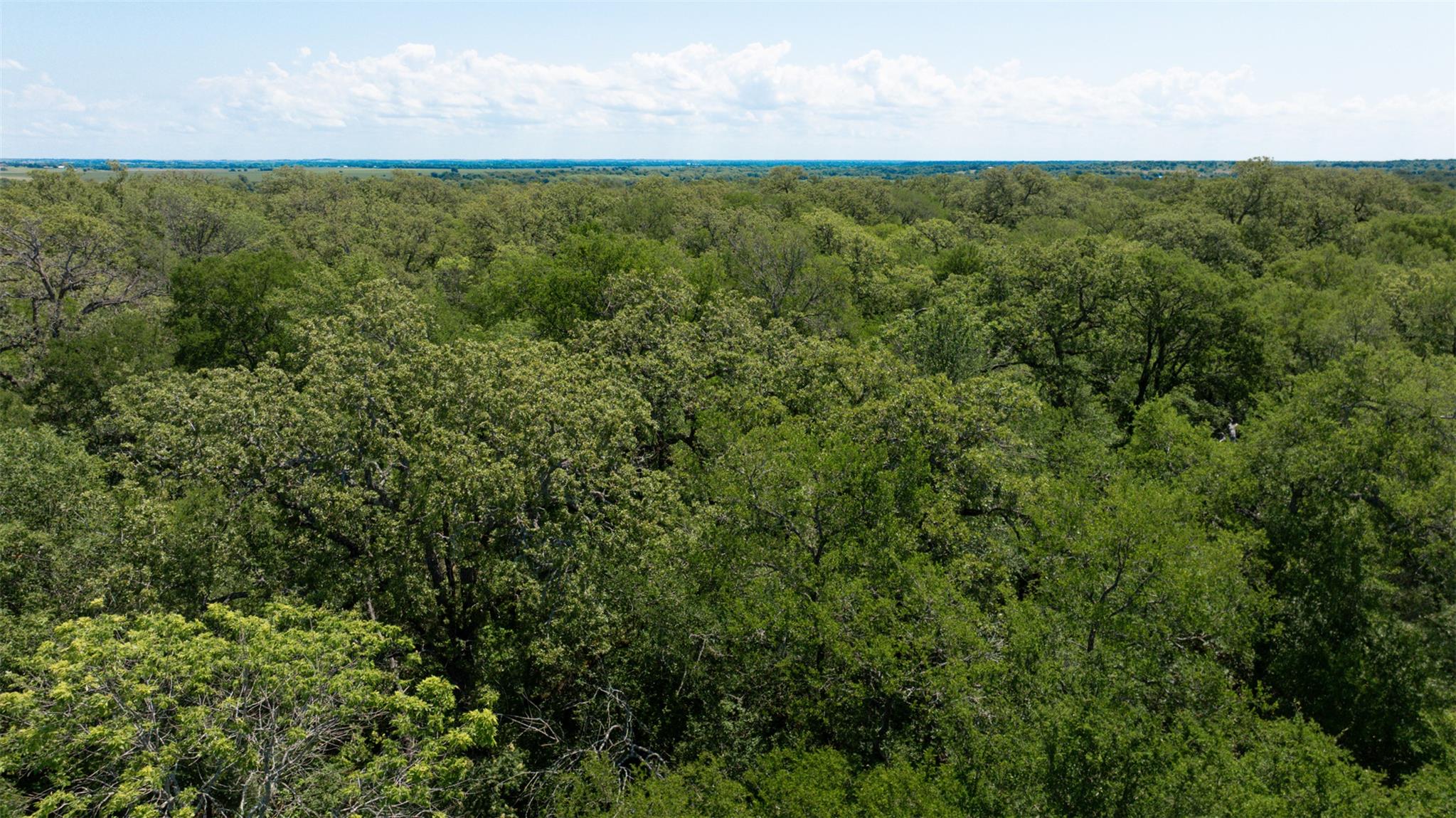 1717 County Road 402 Bartlett TX 76511