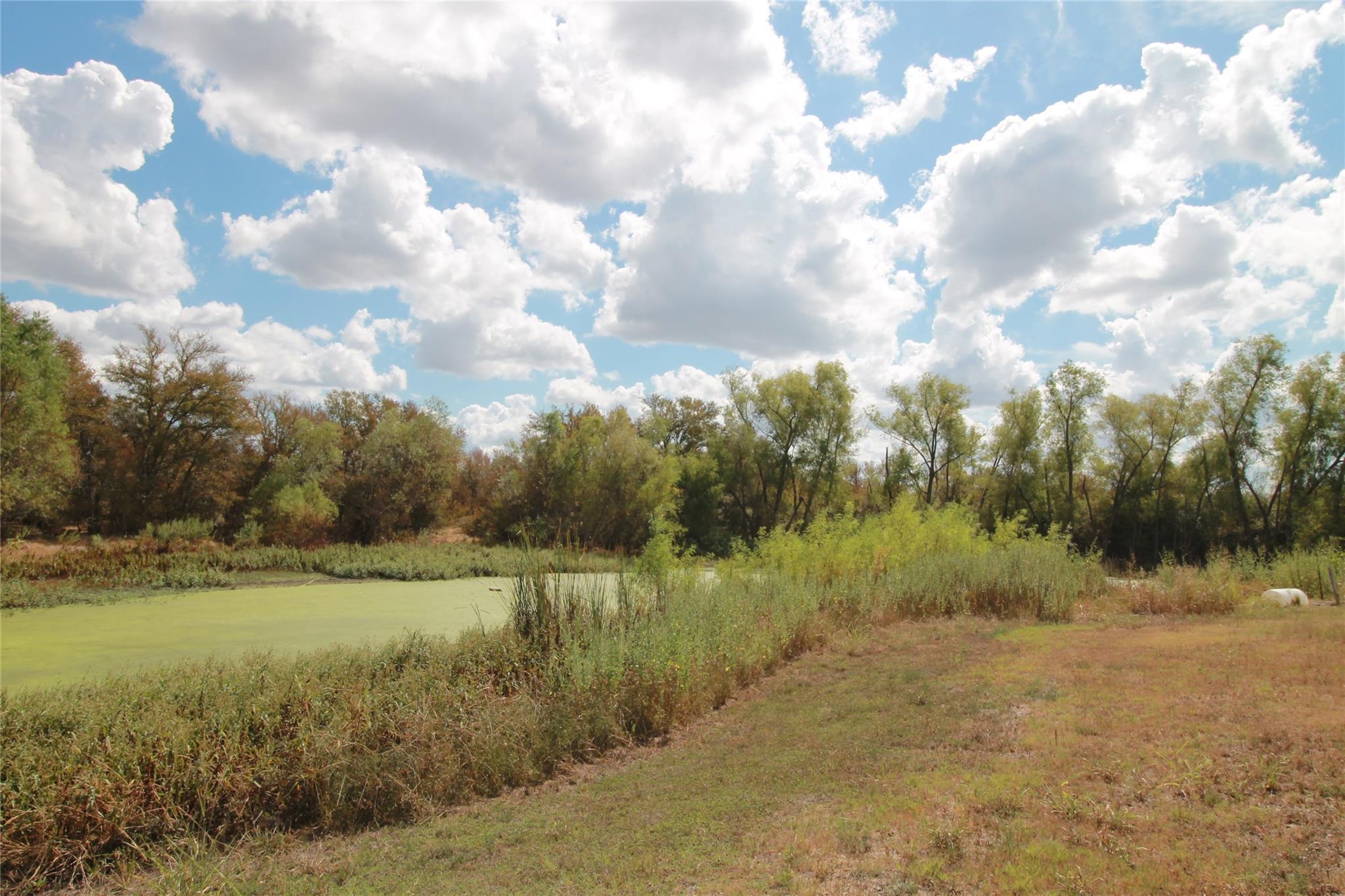 1875 Cr 466 Elgin TX 78621