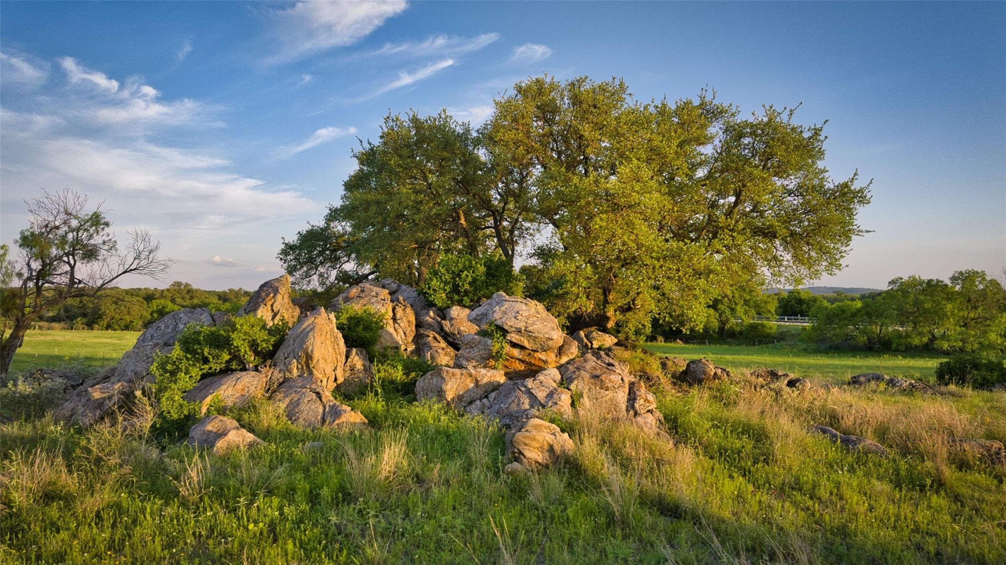 247 Cow Trail Road Mason TX 76856