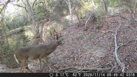 Tbd Fm 1047 Lometa TX 76853