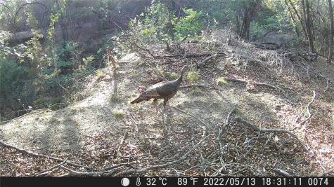 Tbd Fm 1047 Lometa TX 76853