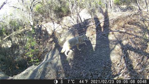 Tbd Fm 1047 Lometa TX 76853