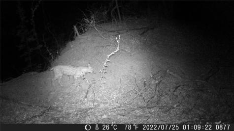 Tbd Fm 1047 Lometa TX 76853