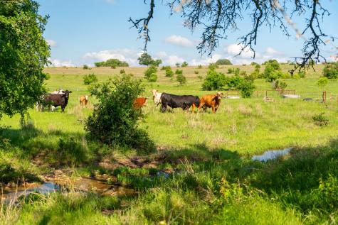 5950 Moccasin Bend Road Gatesville TX 76528