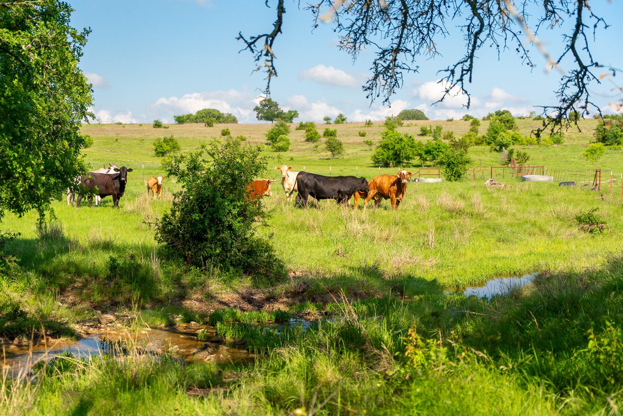5950 Moccasin Bend Road Gatesville TX 76528