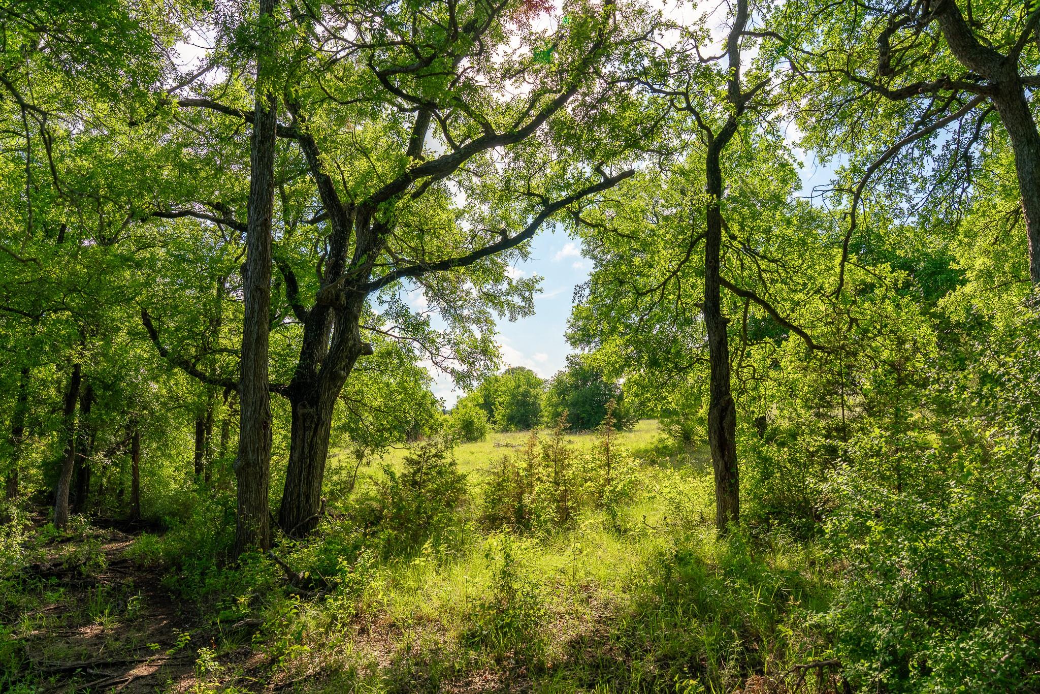5950 Moccasin Bend Road Gatesville TX 76528