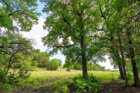 5950 Moccasin Bend Road Gatesville TX 76528