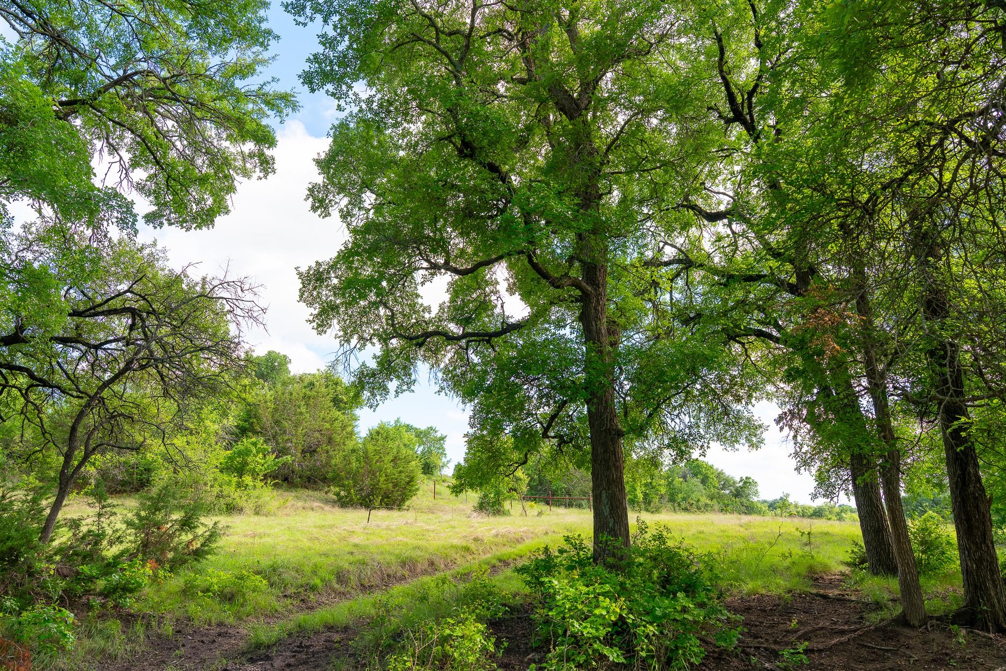 5950 Moccasin Bend Road Gatesville TX 76528