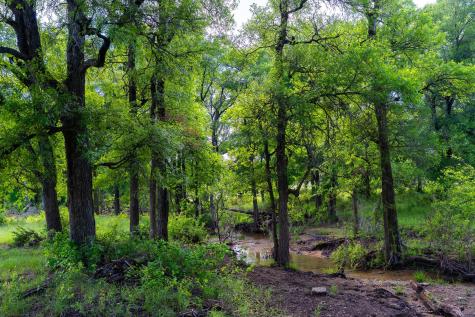 5950 Moccasin Bend Road Gatesville TX 76528