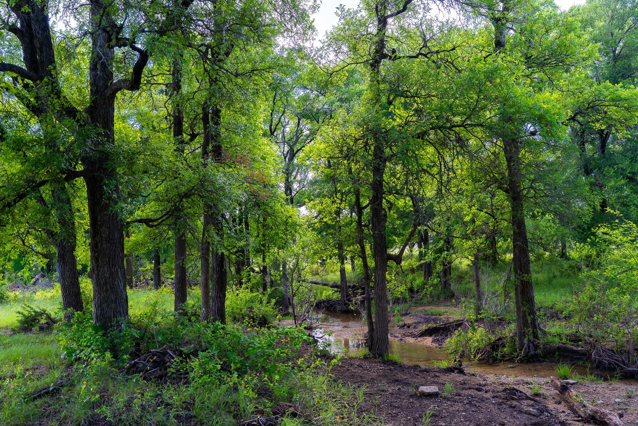 5950 Moccasin Bend Road Gatesville TX 76528
