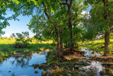 5950 Moccasin Bend Road Gatesville TX 76528