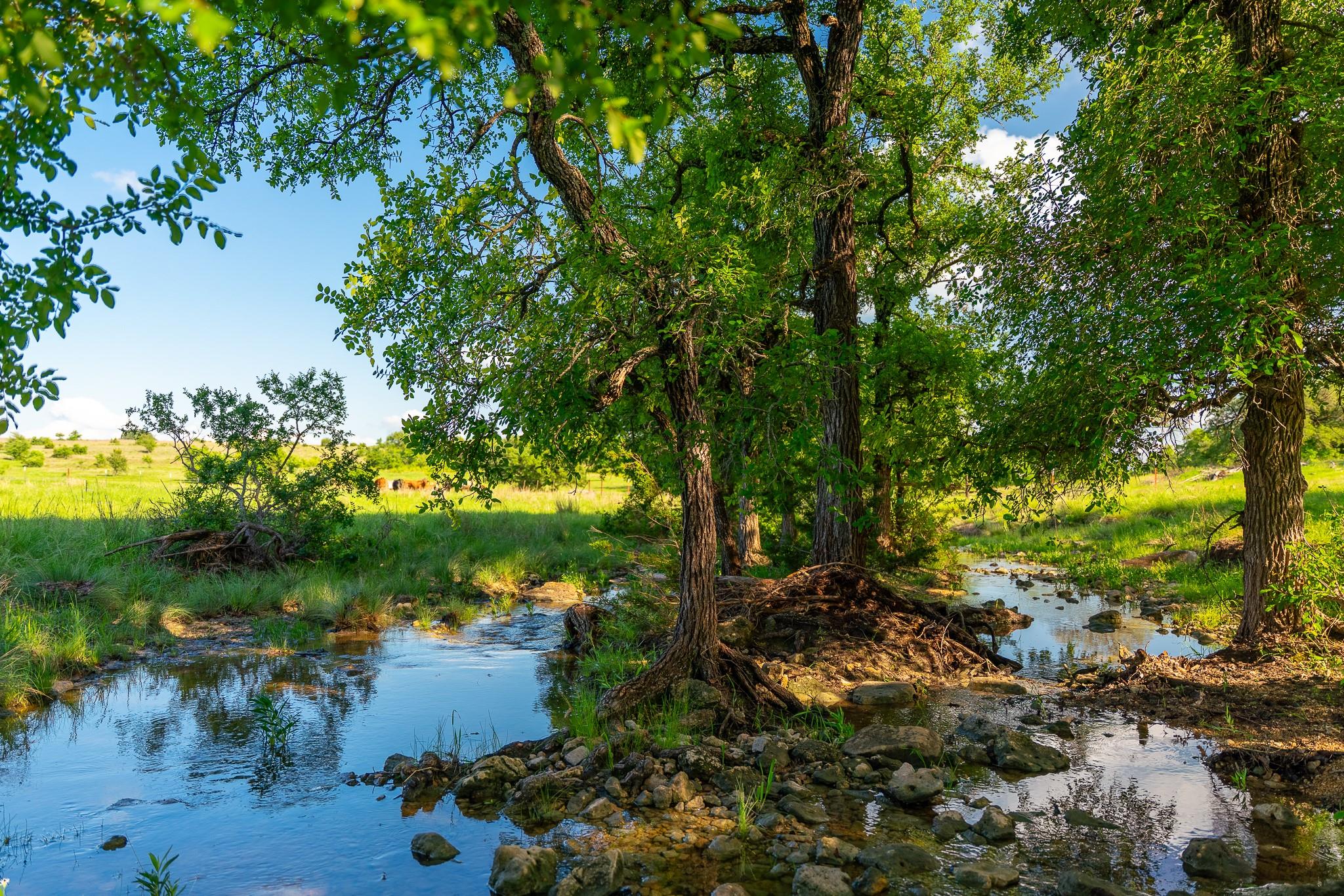 5950 Moccasin Bend Road Gatesville TX 76528