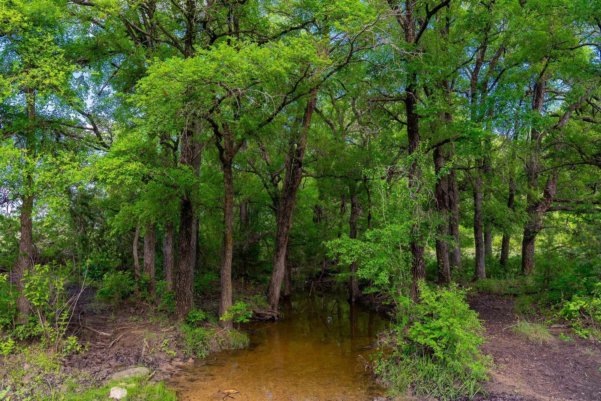 5950 Moccasin Bend Road Gatesville TX 76528