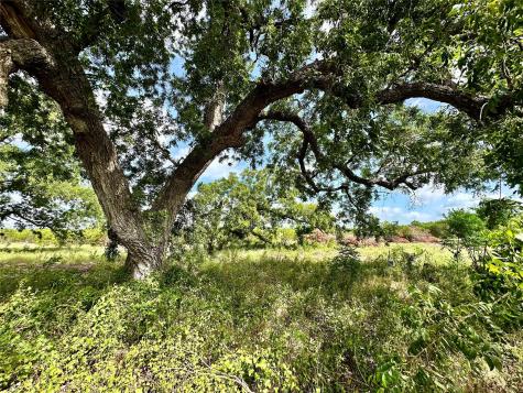 Tbd County Road 1255 Lampasas TX 76550