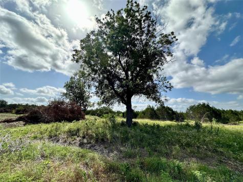 Tbd County Road 1255 Lampasas TX 76550