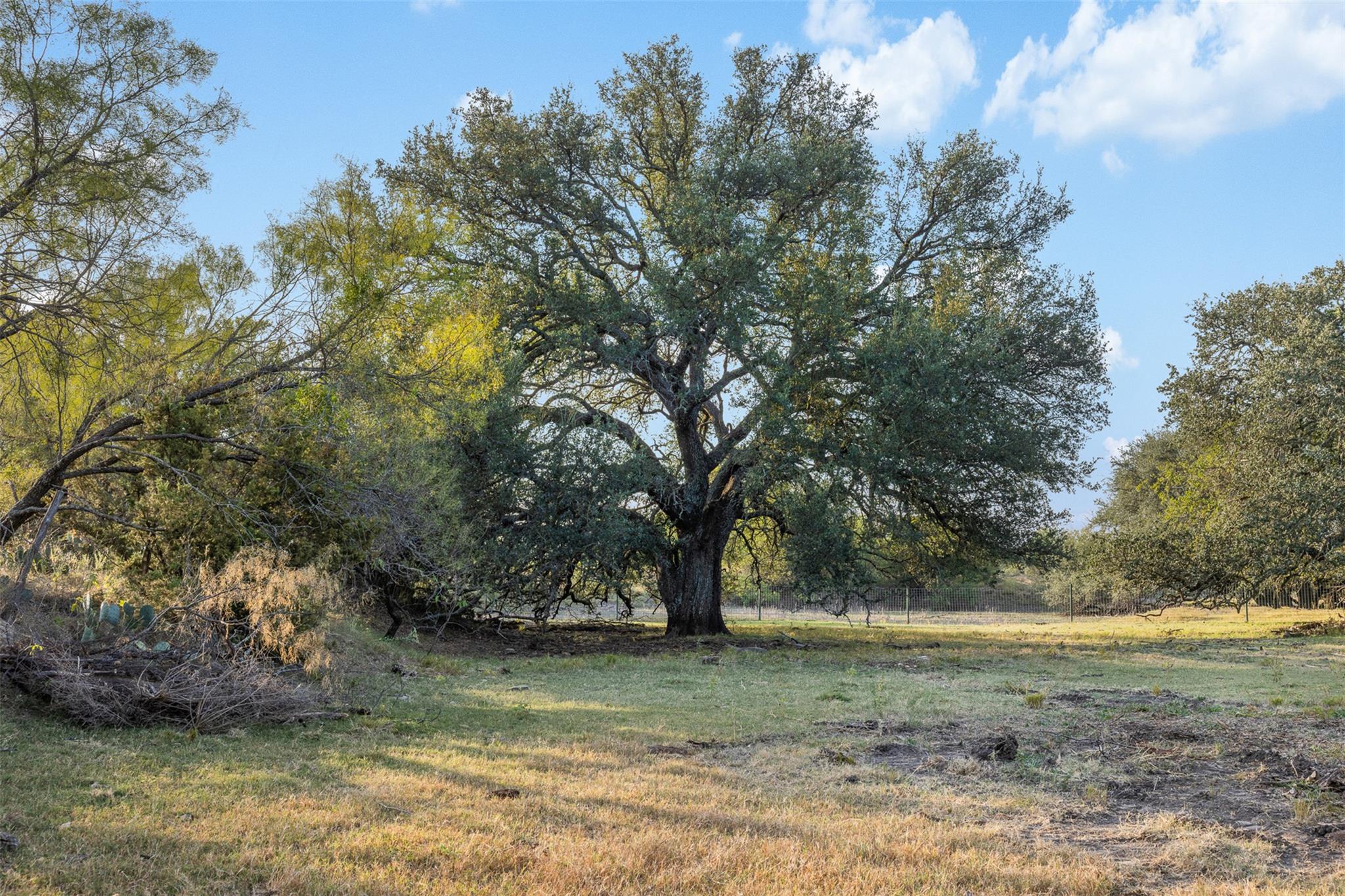Tract 3 Tbd Cr 424 Rochelle TX 76872