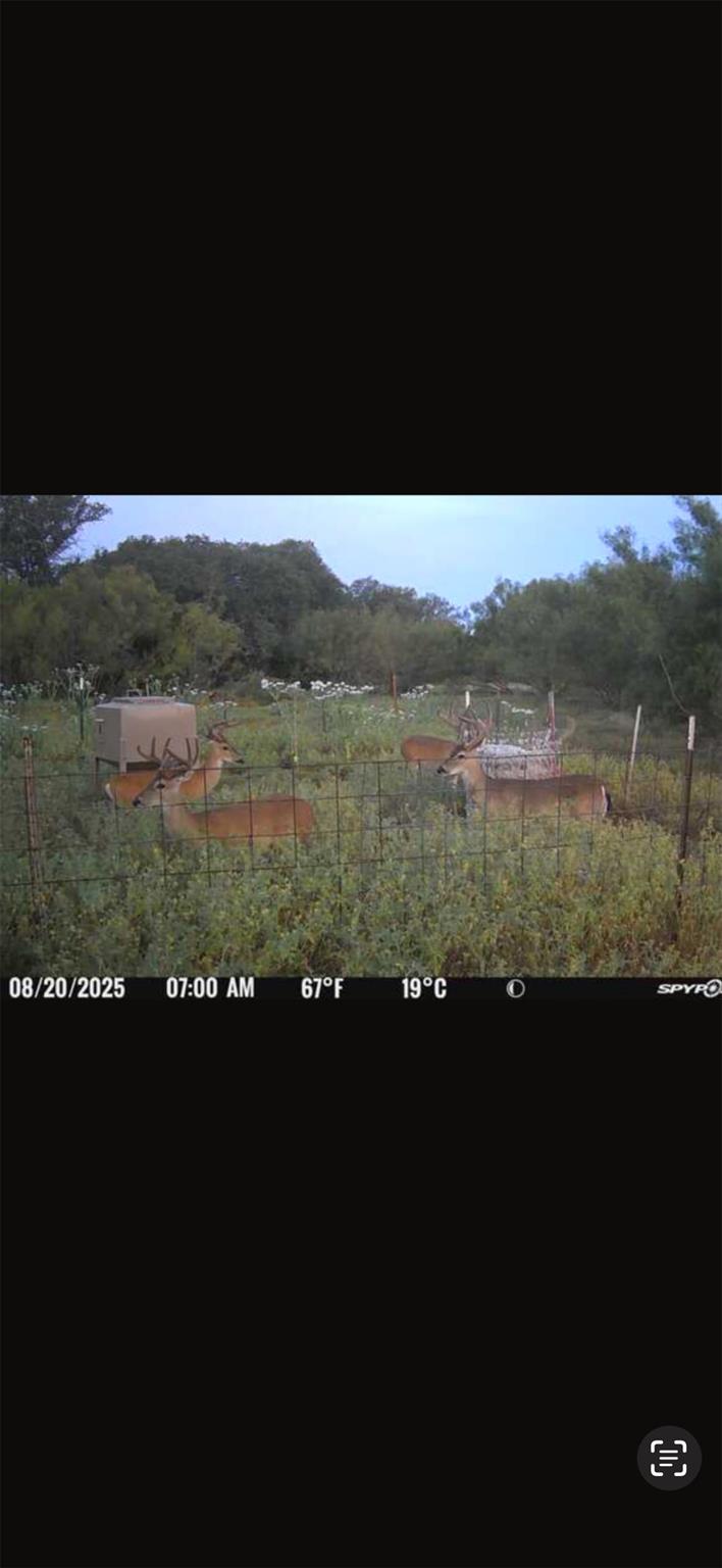 Tract 3 Tbd Cr 424 Rochelle TX 76872