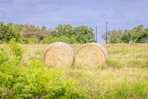 Tbd Us Highway 77 S Giddings TX 78942