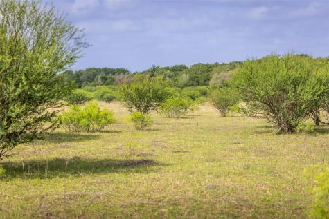 Tbd Us Highway 77 S Giddings TX 78942