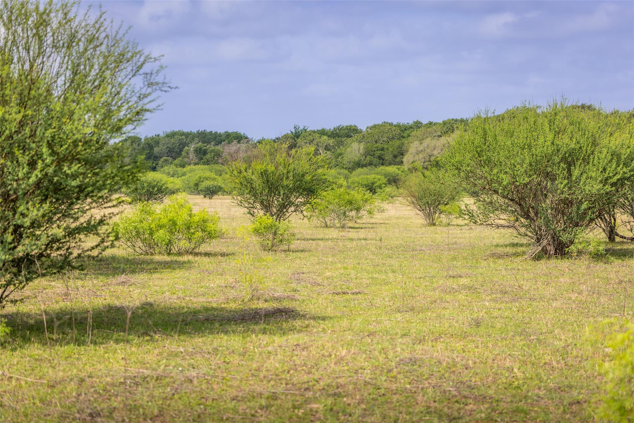 Tbd Us Highway 77 S Giddings TX 78942