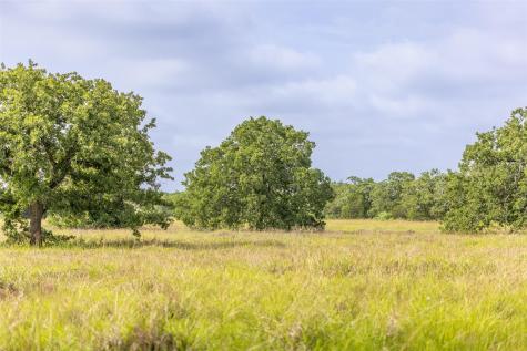 Tbd Us Highway 77 S Giddings TX 78942
