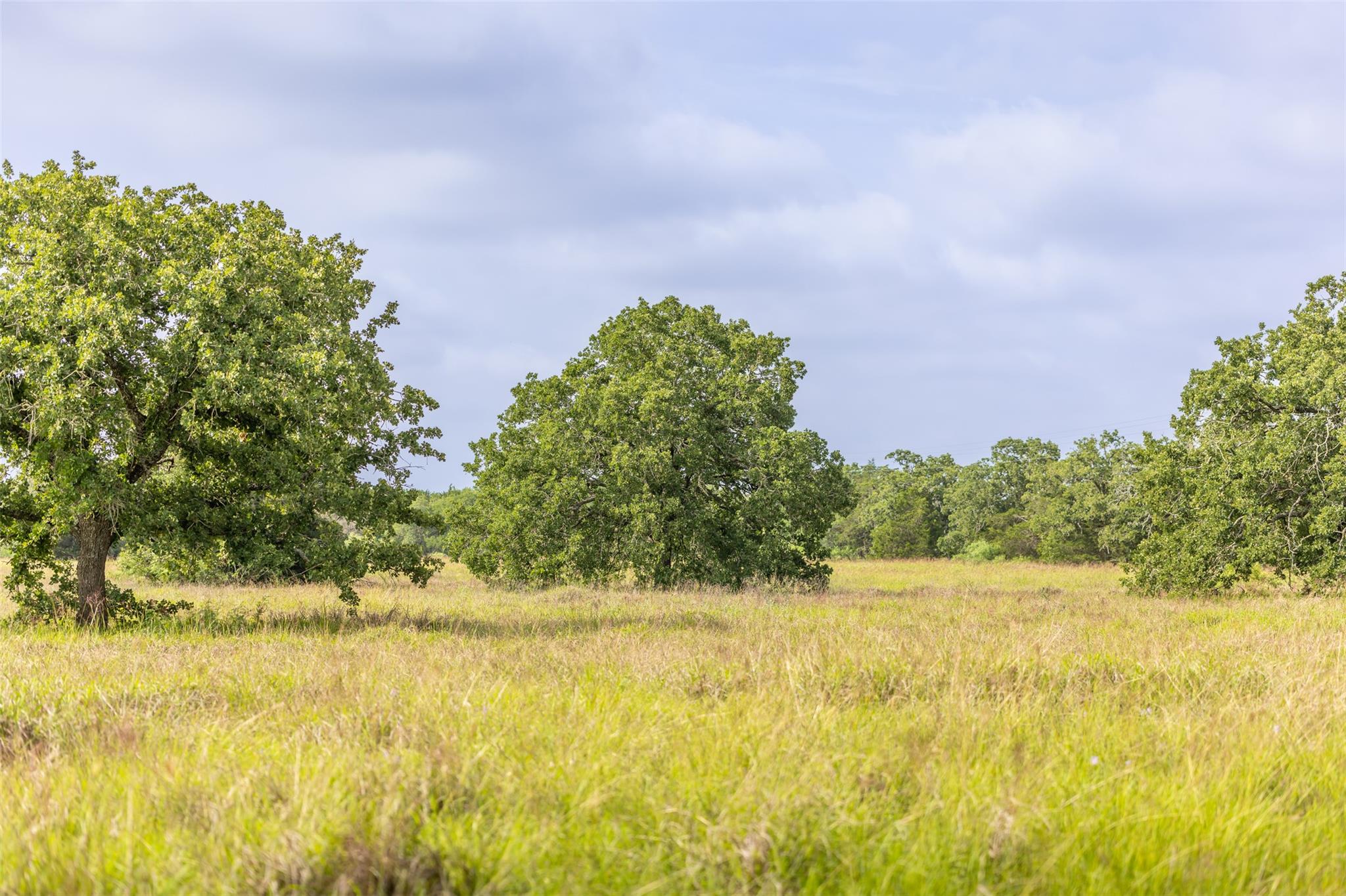Tbd Us Highway 77 S Giddings TX 78942